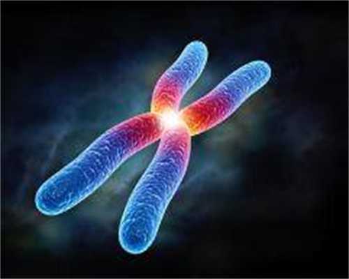 佛山代孕中介哪里好用心耕耘，陪伴您的代怀生子之旅